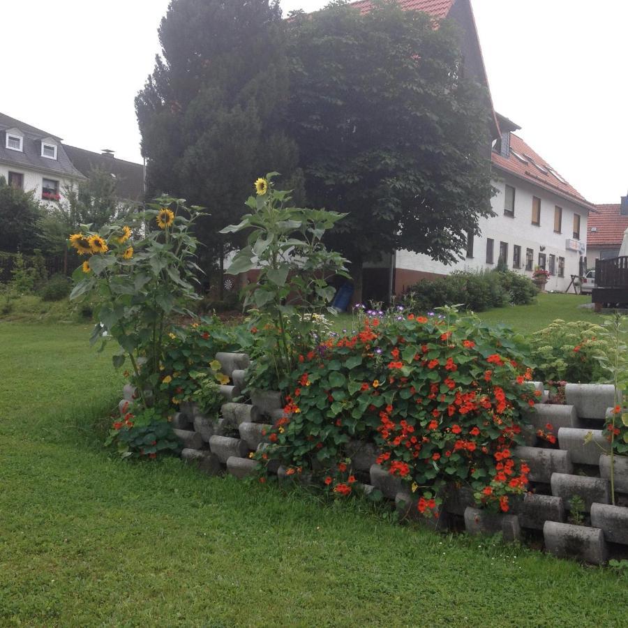 Fun4All-Holidayhome Medebach Bagian luar foto